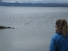 iceland_042.jpg