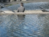 iceland_098.jpg